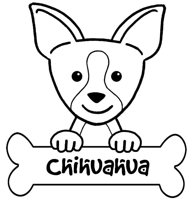 Chihuahua and Bone Coloring Game Chihuahua and Bone