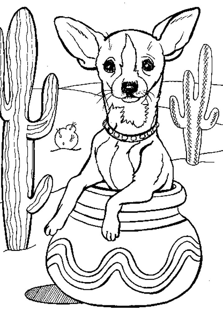 Chihuahua in Desert Coloring Game Chihuahua in Desert