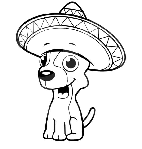 Chihuahua in Sombrero Coloring Game Chihuahua in Sombrero