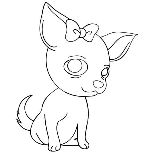 Chihuahua is Cute Coloring Game Chihuahua is Cute