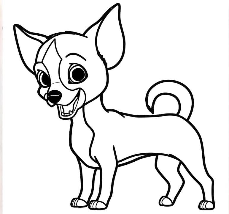Chihuahua is Smiling Coloring Game Chihuahua is Smiling