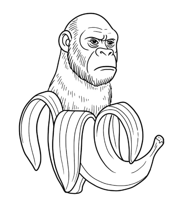 Chimpanzini Bananini Drawing