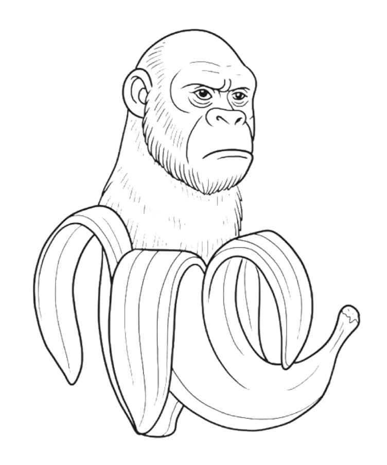 Chimpanzini Bananini To Color
