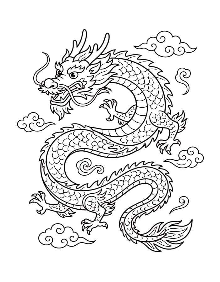 Chinese Dragon Basic