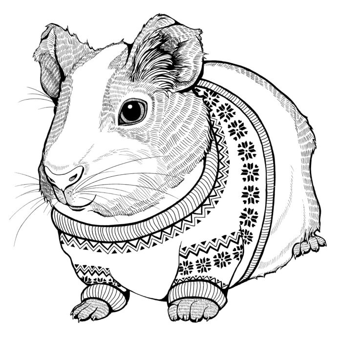 Christmas Guinea Pig Coloring Game Christmas Guinea Pig