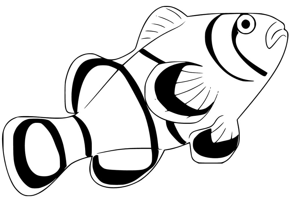 Clownfish Printable Coloring Game Clownfish Printable