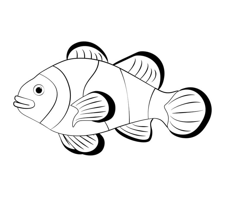 Clownfish to Color Coloring Game Clownfish to Color
