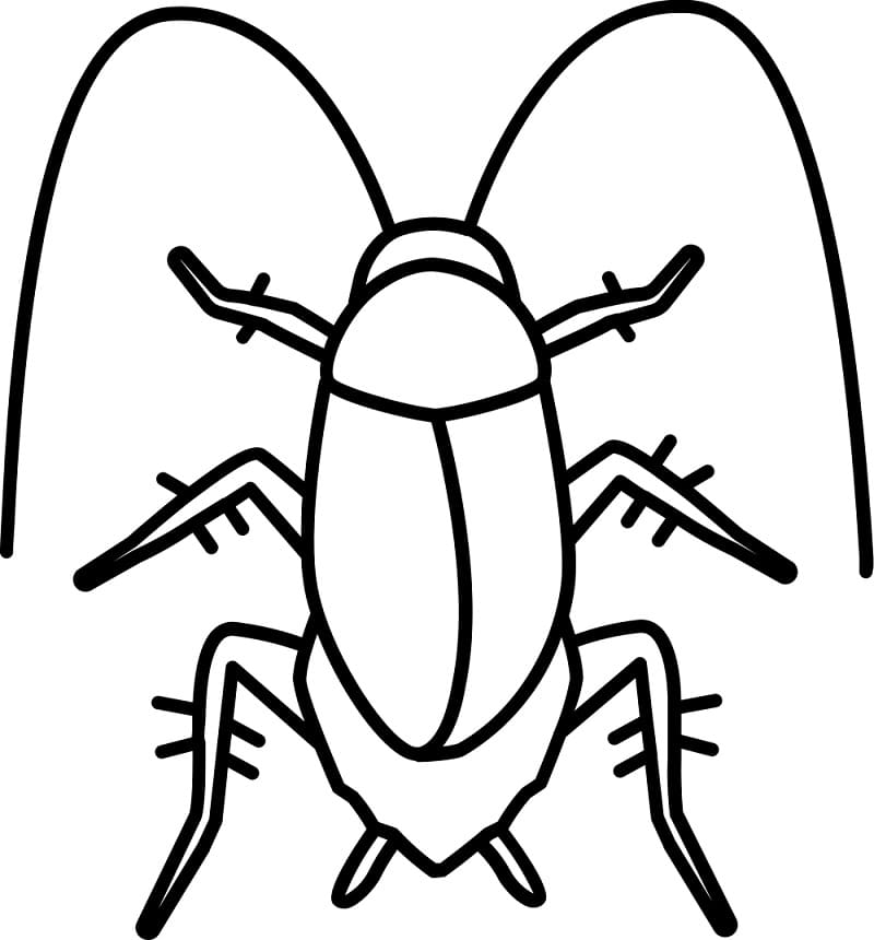 Cockroach 3 Coloring Game Cockroach 3