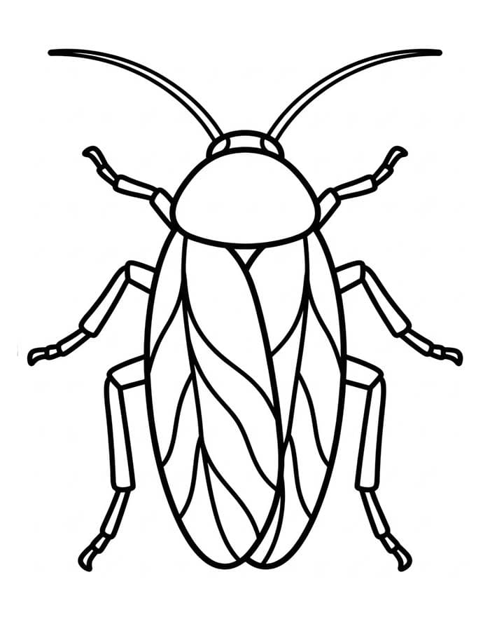 Cockroach Easy