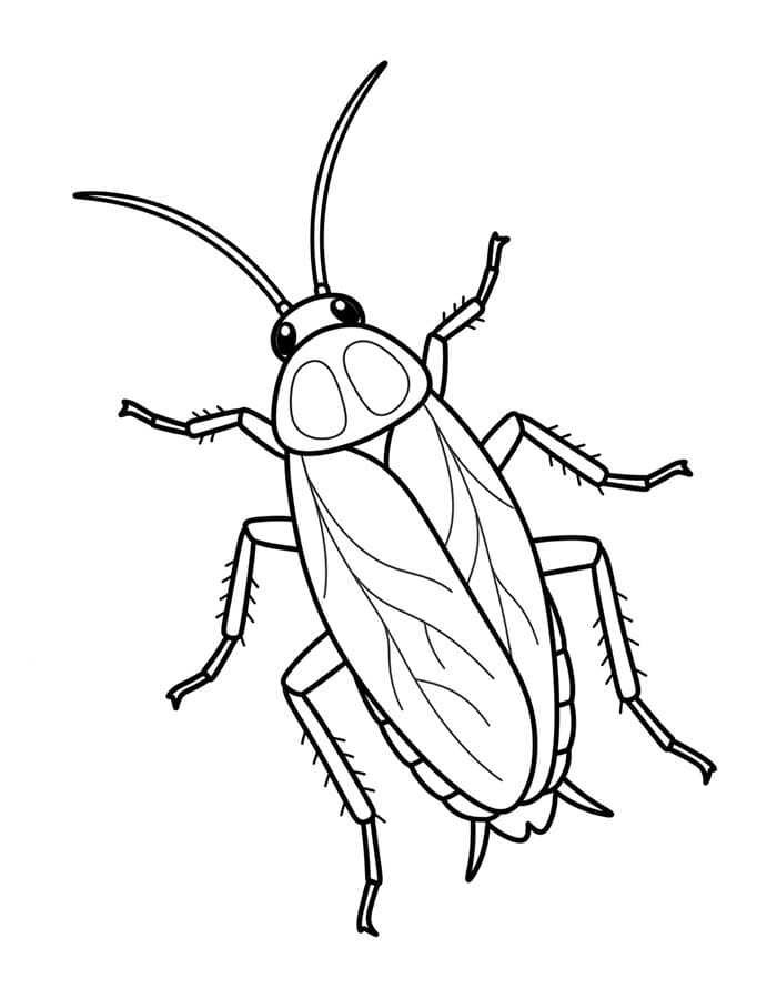 Cockroach Free Printable