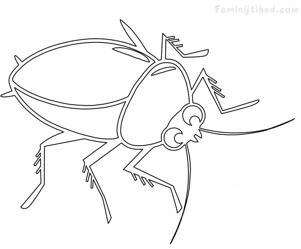Cockroach Outline Coloring Game Cockroach Outline