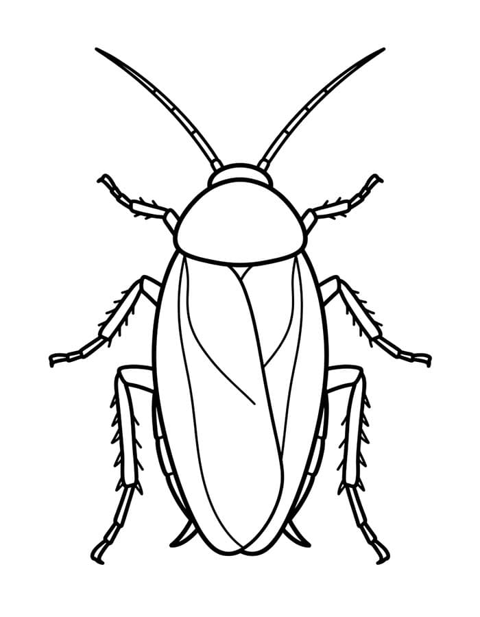 Cockroach Simple