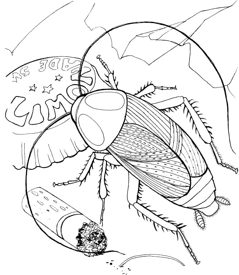 Cockroach and Trash Coloring Game Cockroach and Trash