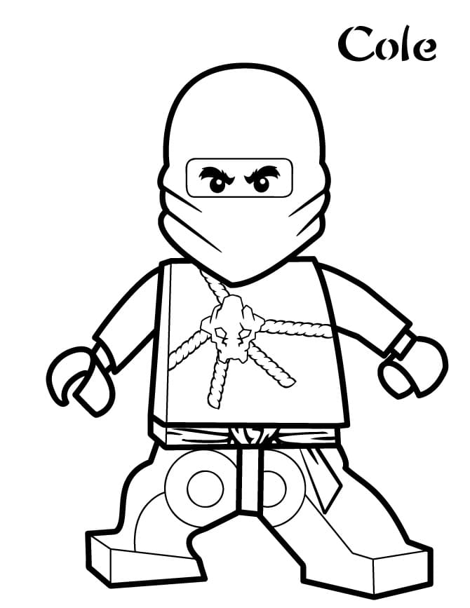 Cole from Lego Ninjago
