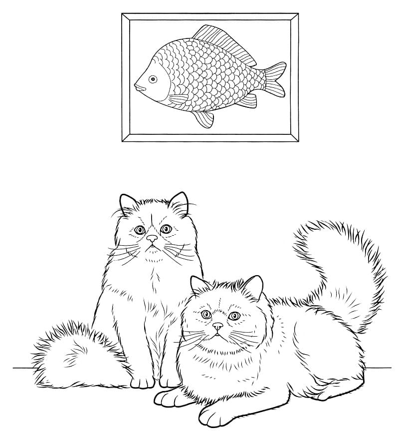 Colorpoint Cats Coloring Game Colorpoint Cats