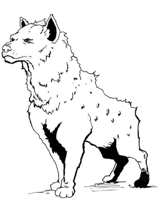 Cool Hyena Coloring Game Cool Hyena