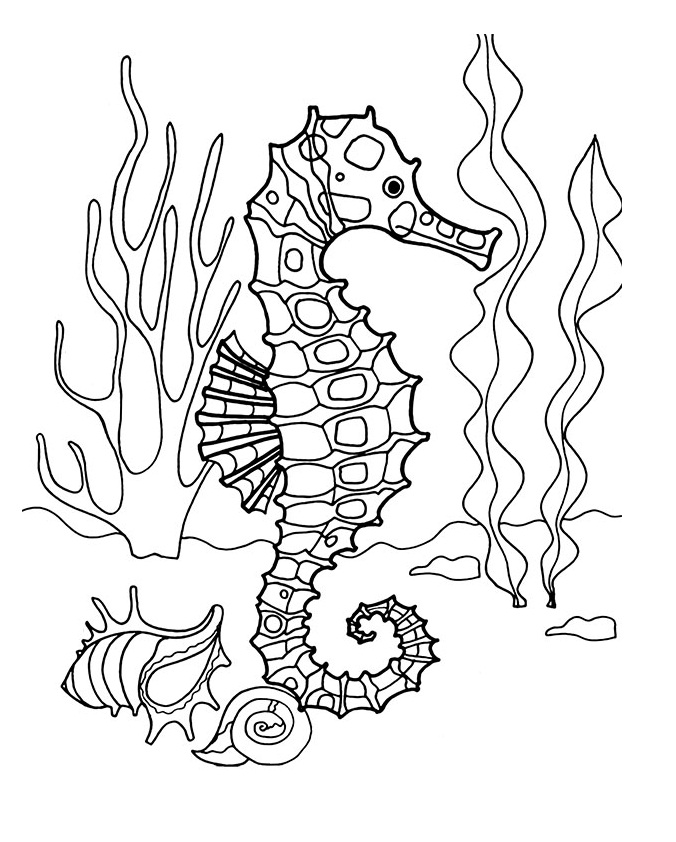 Cool Seahorse Coloring Game Cool Seahorse
