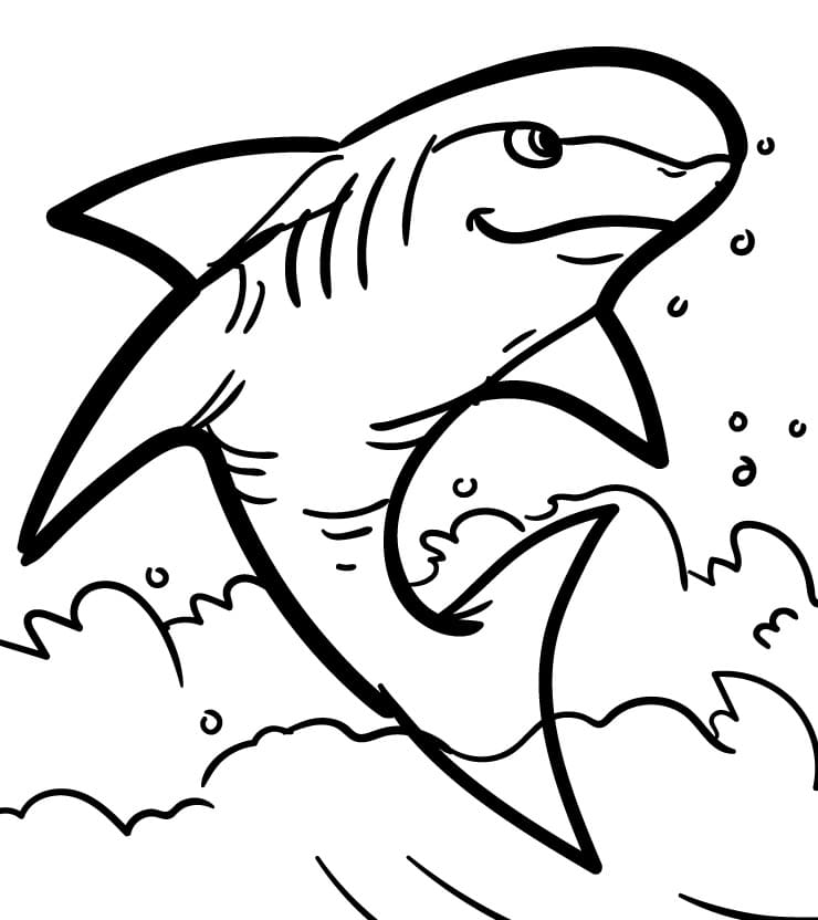 Cool Shark