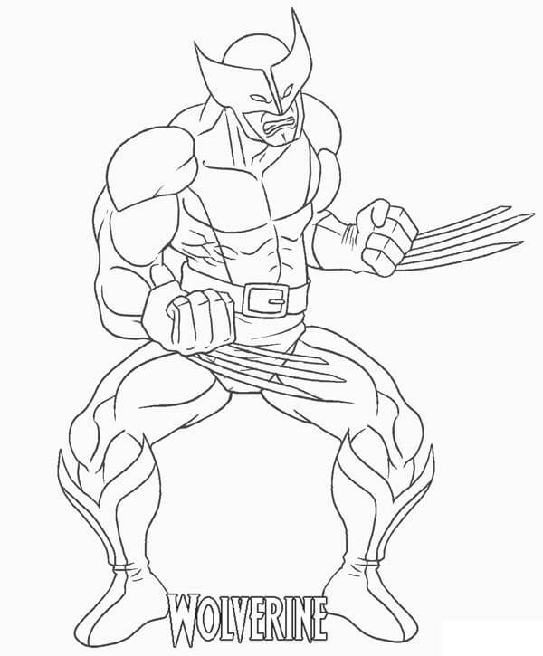 Cool Wolverine Coloring Game Cool Wolverine