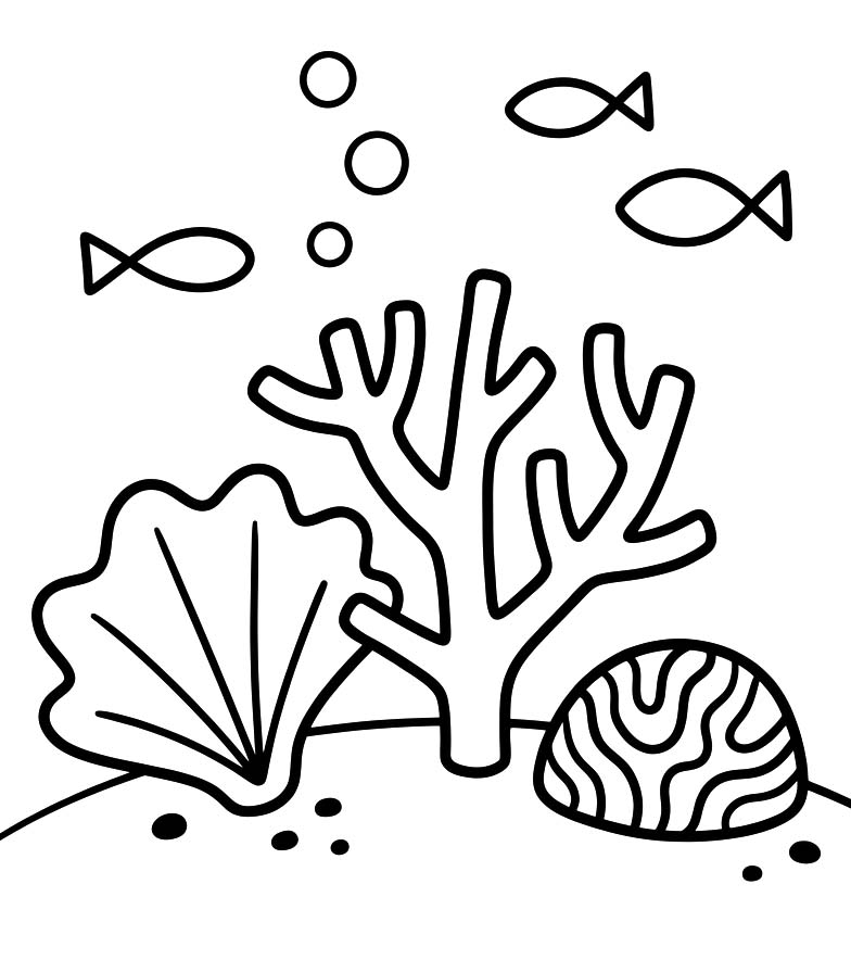 Coral Easy