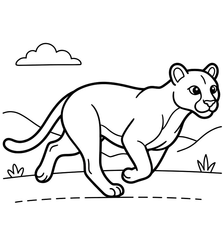 Cougar Easy