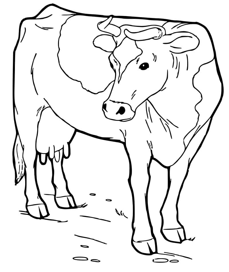 Cow 10 Coloring Game Cow 10