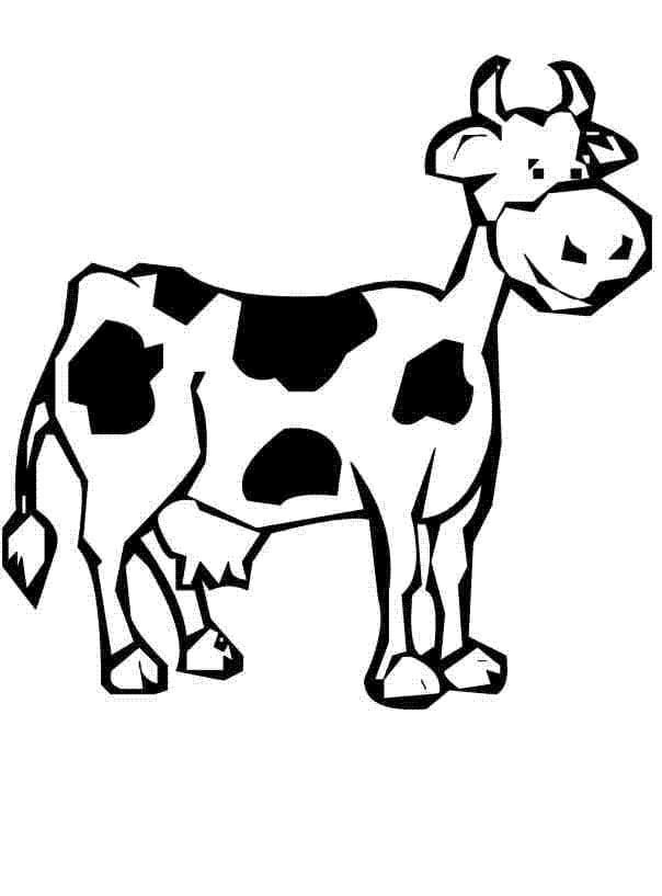 Cow 14 Coloring Game Cow 14