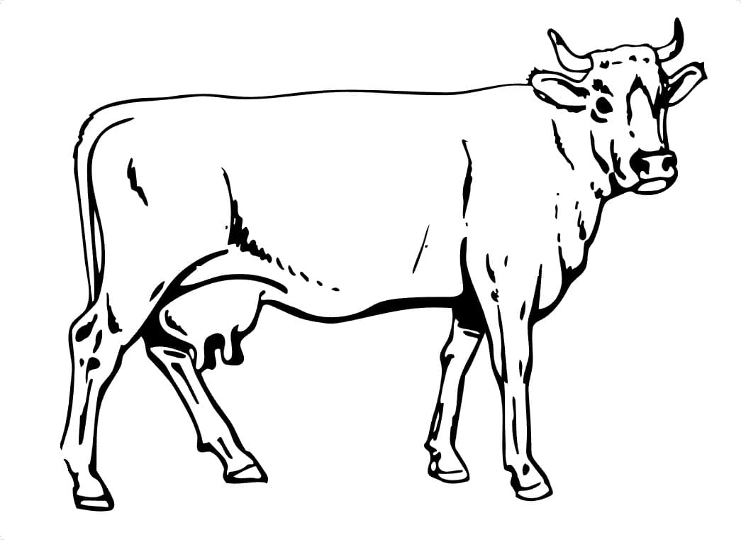 Cow 5 Coloring Game Cow 5