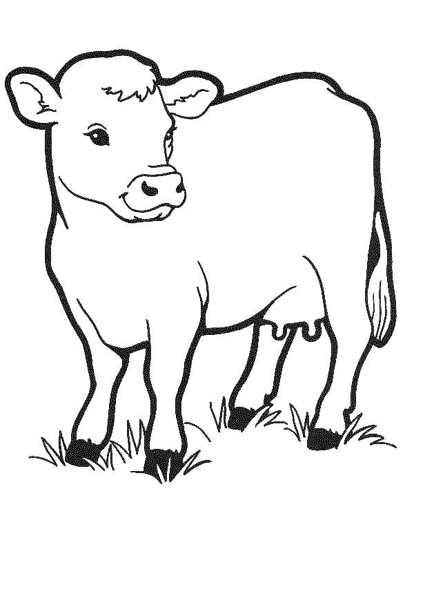 Cow 7 Coloring Game Cow 7