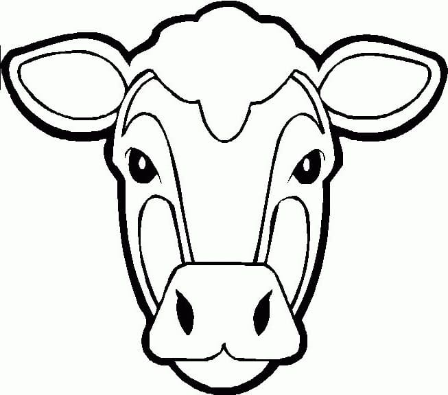 Cow Face Coloring Game Cow Face
