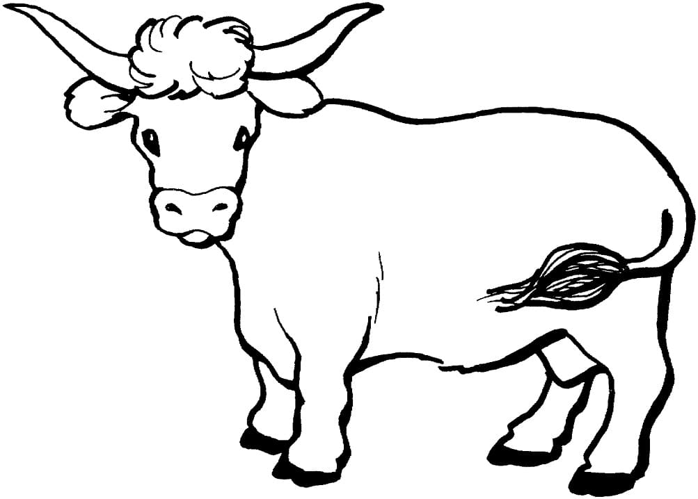 Cow Printable Coloring Game Cow Printable