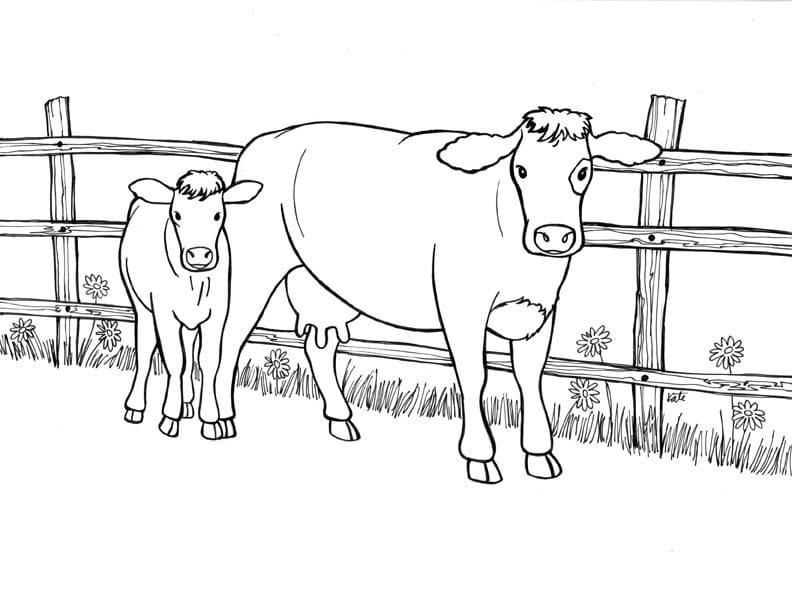 Cow and Calf 1 Coloring Game Cow and Calf 1