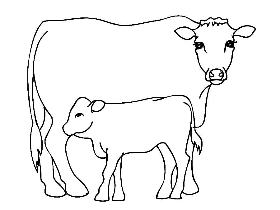 Cow and Calf 2 Coloring Game Cow and Calf 2