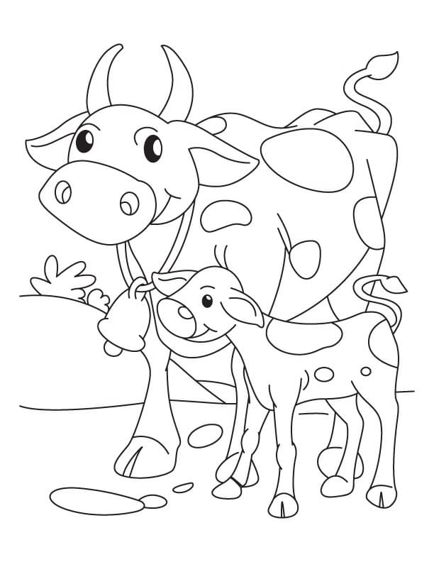 Cow and Calf Coloring Game Cow and Calf