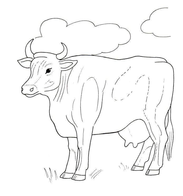 Cow with Clouds Coloring Game Cow with Clouds