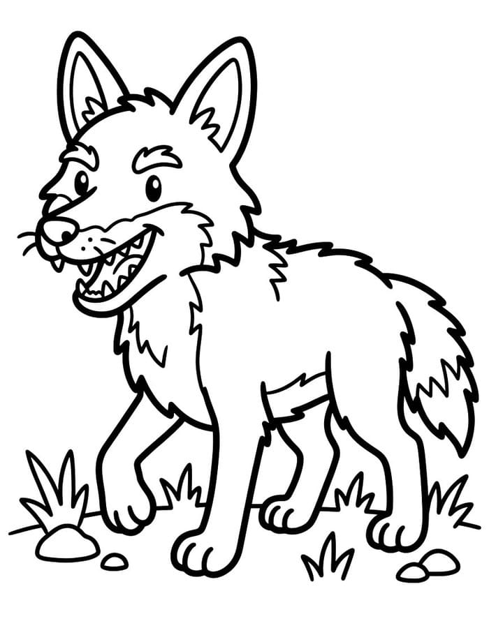 Coyote Basic
