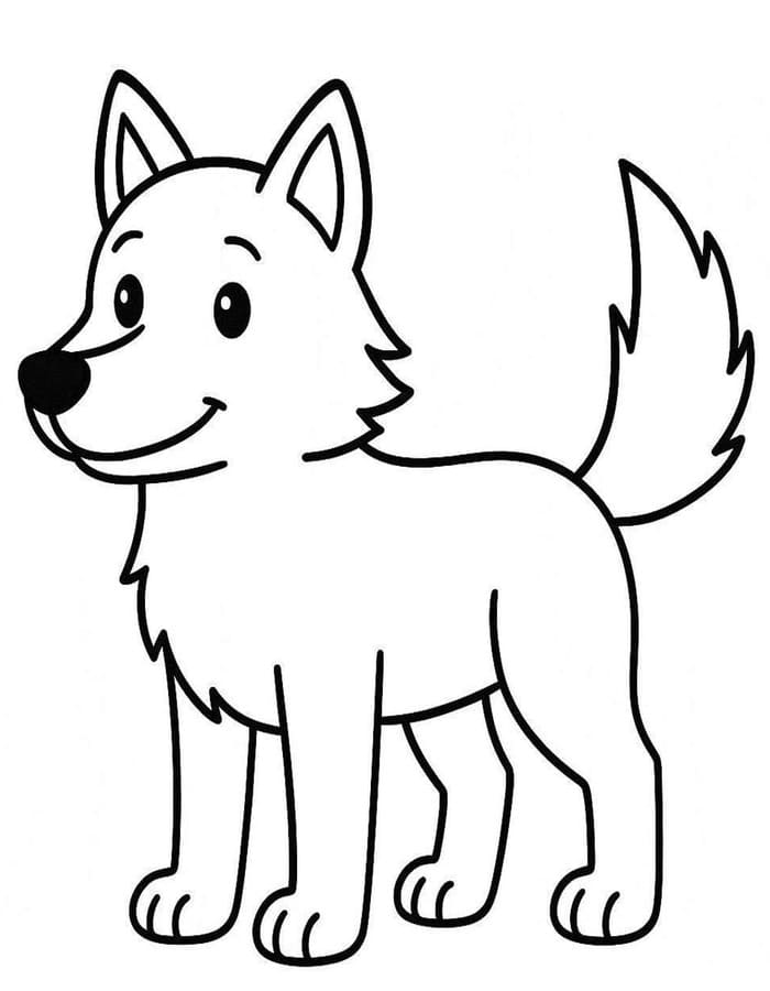 Coyote Easy