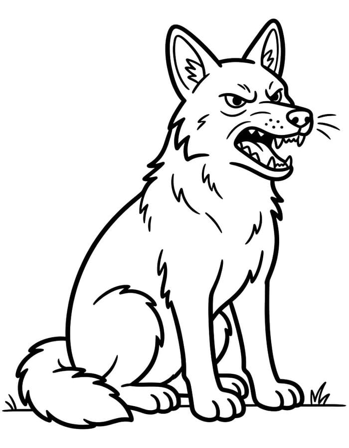 Coyote Simple