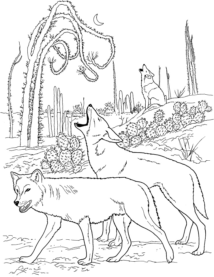 Coyotes Howling in Desert Coloring Game Coyotes Howling in Desert