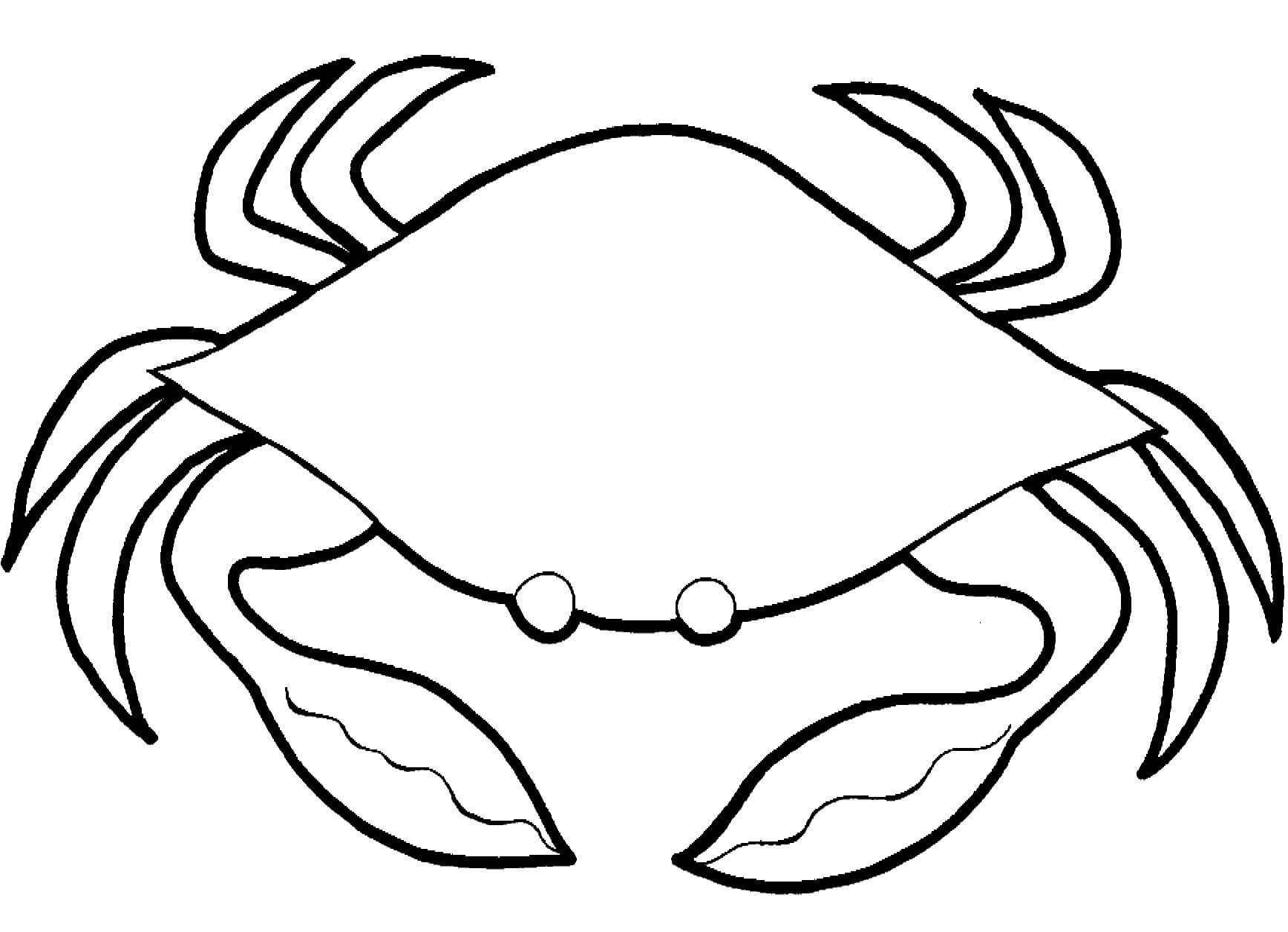 Crab 1