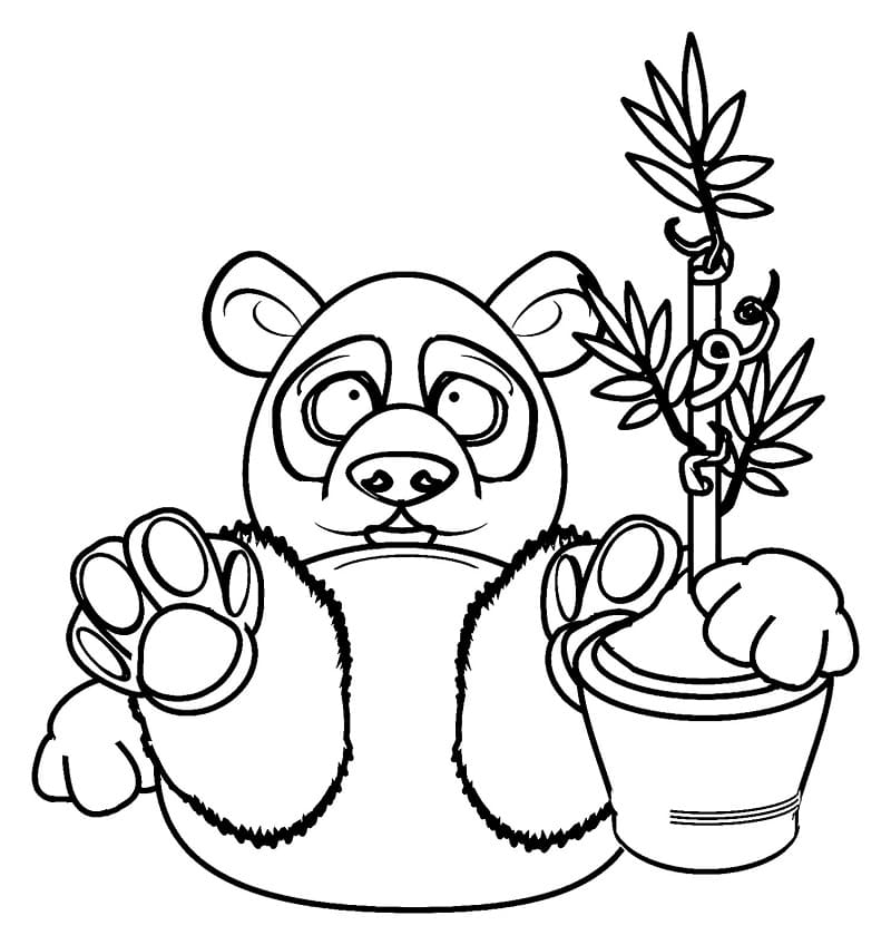 Crazy Panda Coloring Game Crazy Panda