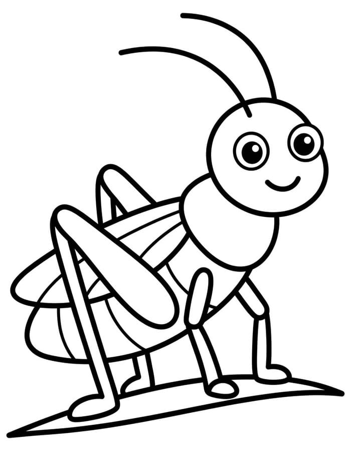 Cricket Free Printable