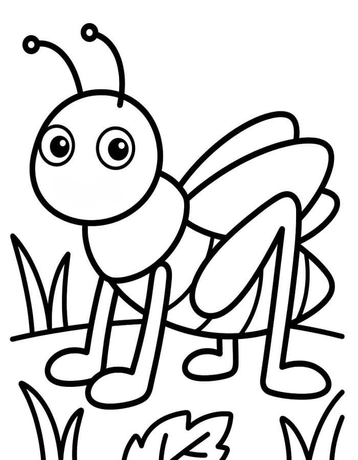 Cricket Printable