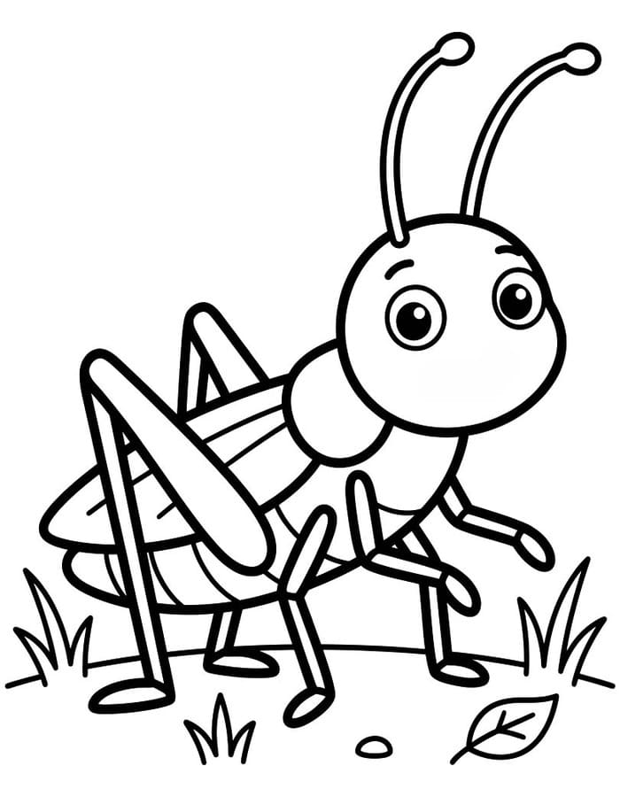 Cricket Simple
