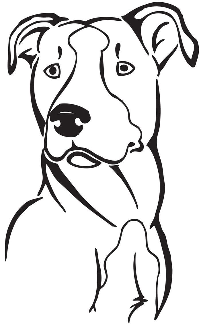 Curious Pitbull Coloring Game Curious Pitbull