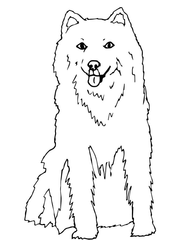 Cute Alaskan Husky Coloring Game Cute Alaskan Husky
