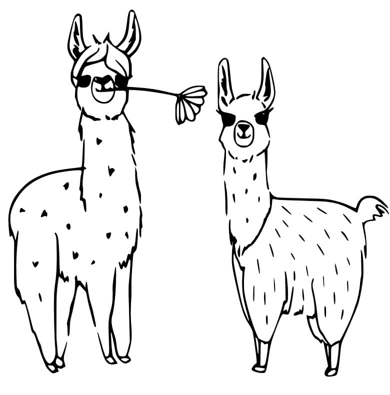 Cute Alpacas Coloring Game Cute Alpacas
