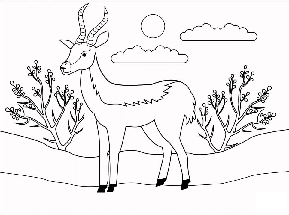 Cute Antelope Coloring Game Cute Antelope