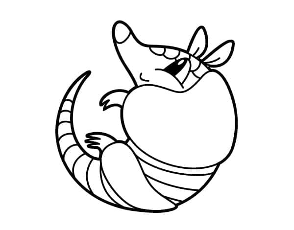 Cute Armadillo