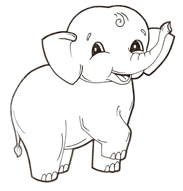 Cute Baby Elephant
